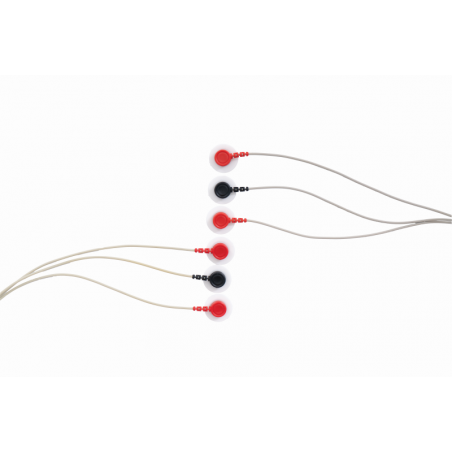 Semi-Used EuraBody Green Former