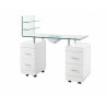USED Pezi Manicure Table